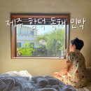제주 민들레펜션 | 제주도함덕해수욕장숙소 자쿠지와 마당이 있는 돌담펜션 민들레민박 후기