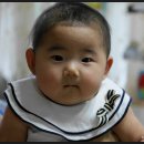 (주)서하 Daum카페