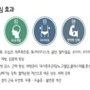 밸런스워킹 PT 이미지