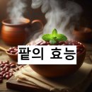 팥 - 제주시 | 팥