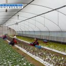 완수농장 이미지