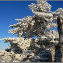 소백산장 이미지