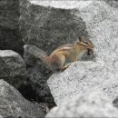 영신약수터 이미지