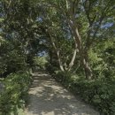 숲속의 펜션 이미지