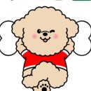 두리애견 이미지