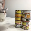 이레네코리아 | [고양이 사료]카디날코리아 퍼시캣 슈퍼 프리미엄 캣캔 후기!