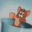 어양동-06 이미지