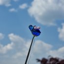 [원주 공방 제이시 크래프트] 댄싱 카니발 플리마켓 안내
