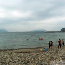 고성공룡박물관야영장 이미지