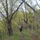 숙원농장 이미지