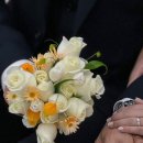 💍이승현웨딩 본식 후기 아이테오 실버넷 드레스 추천
