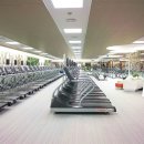 스포테라 이미지