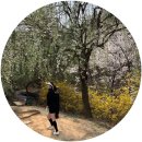 아이리스골프클럽 이미지