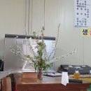 행운굴구이 | [충남 보령] 천북 청보리밭 우유창고 근처 싱싱한 굴 맛집 "행운굴구이" 내돈내산 솔직후기