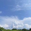 카페모들 - 서구 봉화로 39 | 카페모들