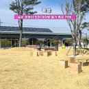 [곡성 카페] 2분거리에 곡성 기차마을이 있는 넓은정원카페 테라엔