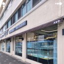 로얄펫 강아지분양 고양이분양 전주본점 이미지