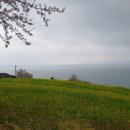 스테이남해 | 남해펜션스테이다옴 후기｜남해펜션 바다 보며 바베큐 즐긴 모임 여행