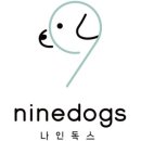나인독스 이미지