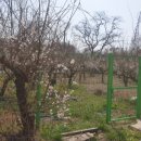 세곡목장 이미지