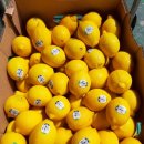 (주)골드레몬 이미지