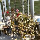 용우농장 이미지