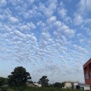 와이키키다이버스 이미지