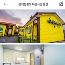 유채꽃길에 머문시간 이미지