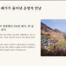 전성학원 | 오늘N 100년 된 집을 직접 고친 이유 남해 촌집 전성시대