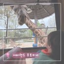 에버랜드 주토피아 코스 추천 동물원 후기
