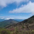 임걸령옹달샘 | 반야봉(전북 남원, 전남 구례)~반야봉 등산코스(성삼재, 원점회귀)