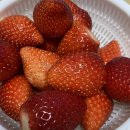 이불빅마트 이미지