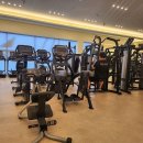 비다펠리즈 이미지