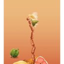 강남-121 이미지