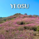 여수산단1로 | 여수 영취산 등산코스 | 진달래 제대로 보려면 어디로? (흥국사 vs 돌고개주차장)