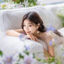 비비스튜디오 이미지