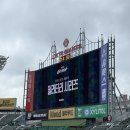 벌룬114 | 롯데자이언츠 사직 직관 후기_1루 내야필드석 114블록 15열 14번