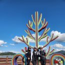 10월23일 석모도 칠면초 군락지에서~ 이미지