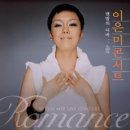 이은미 콘서트 이미지