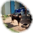 미수농장 이미지