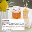 런던동물병원 | 블라블라 - 런던,파리 에어비앤비 고르는 팁