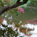 생태예술한옥마을 이미지