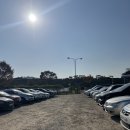 경기도 수원시 장안구 경수대로743번길 | 수원 나홀로은행나무 🌾 억새밭 경기도 가을 나들이 갈만한 곳 명소