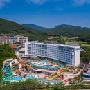 스플라스리솜 이미지