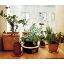 사계절양품 이미지