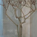 산뜨락펜션 이미지