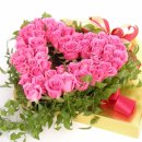 선기로-5 이미지