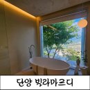 펜션 쇼룸 | [단양풀빌라]프라이빗 스파 사우나 인피니티 풀을 동시에 즐길수 있는 감성 단양펜션 빌라마르디 후기