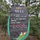 송학사 | 행복숲길 순환 가을 트레킹 코스 대전 보문산 가을 산책 보문산 행복숲길 트레킹 후기