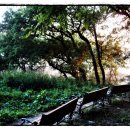 강정보 녹색길 이미지